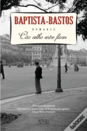Capa do artigo Cão Velho Entre Flores