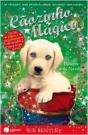 Cãozinho Mágico - Desejos de Natal - Preview