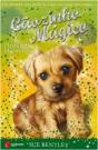 Cãozinho Mágico - Desfile de Majorettes - Preview