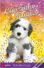 Capa do artigo Cãozinho Mágico - Escola de Travessuras