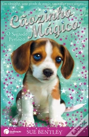 Capa do artigo Cãozinho Mágico - O Segredo Perfeito