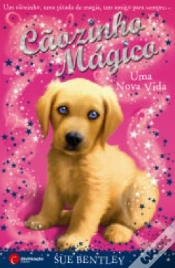 Capa do artigo Cãozinho Mágico Uma Nova Vida