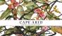 Cape Arid - Preview