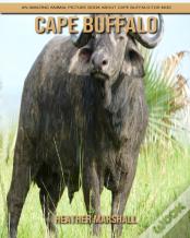 Cape Buffalo
