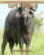 Cape Buffalo - Preview