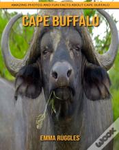 Cape Buffalo