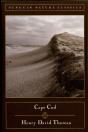 Cape Cod - Preview
