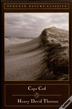 Capa do artigo Cape Cod
