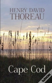 Capa do artigo Cape Cod