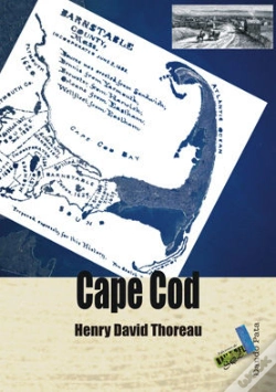 Capa do artigo Cape Cod  