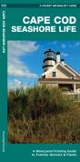 Cape Cod Seashore Life, 2nd Ed - Preview