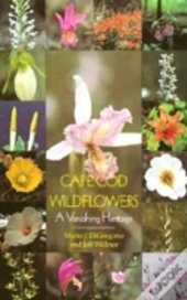 Cape Cod Wildflowers