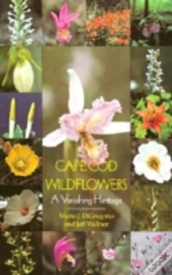 Capa do artigo Cape Cod Wildflowers