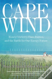 Capa do artigo Cape Wind