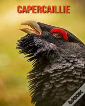 Capercaillie
