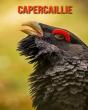Capercaillie - Preview