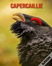 Capa do artigo Capercaillie