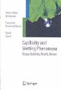 Capillarity And Wetting Phenomena - Preview