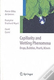 Capa do artigo Capillarity And Wetting Phenomena