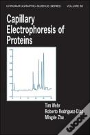 Capillary Electrophoresis Of Proteins