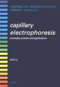 Capillary Electrophoresis - Preview