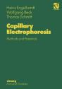 Capillary Electrophoresis - Preview
