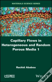 Capillary Flows In Heterogeneous And Random Porous Media