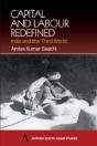 Capital And Labour Redefined - Preview