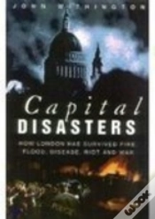 Capa do artigo Capital Disasters