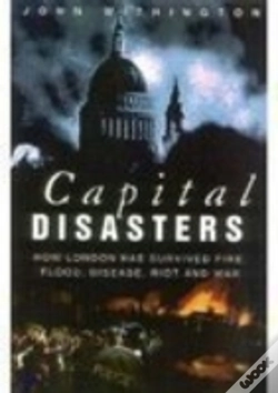 Capa do artigo Capital Disasters