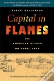 Capa do artigo Capital In Flames
