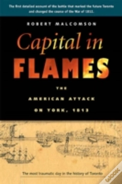 Capa do artigo Capital In Flames