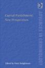 Capital Punishment: New Perspectives - Preview