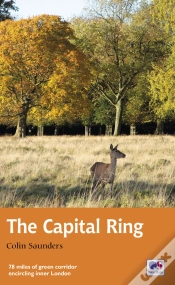 Capa do artigo Capital Ring