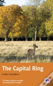 Capa do artigo Capital Ring