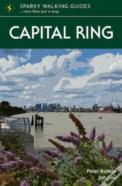 Capa do artigo Capital Ring