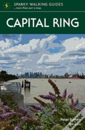 Capa do artigo Capital Ring