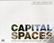 Capa do artigo Capital Spaces