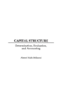 Capital Structure - Preview