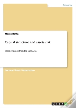Capa do artigo Capital Structure And Assets Risk