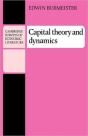 Capital Theory And Dynamics - Preview