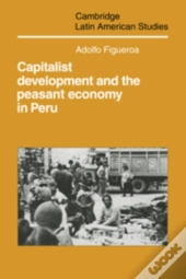 Capitalist Development And The Peasant Economy In Peru