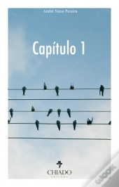 Capítulo 1