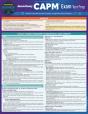 Capm Exam Test Prep - Preview