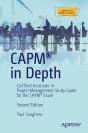 Capm(R) In Depth - Preview