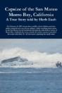 Capsize Of The San Mateo - Preview