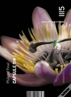 Capa do artigo Capsule 11#
