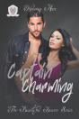 Captain Charming - Preview