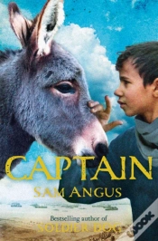 Capa do artigo Captain