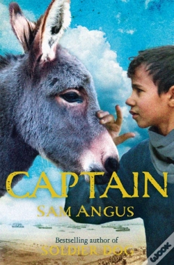 Capa do artigo Captain